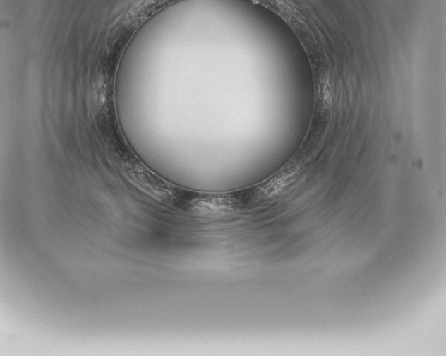 X0000060270567200511112050