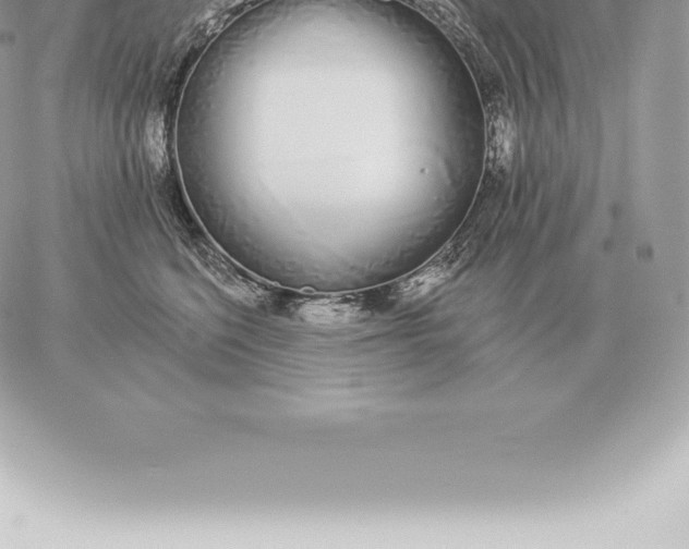 X0000060270568200511112050