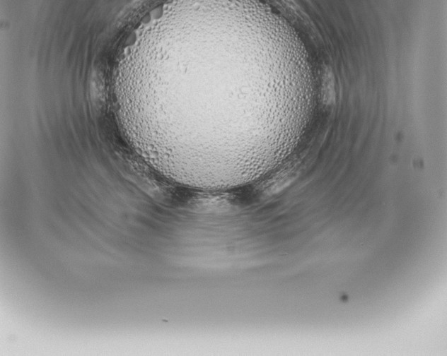 X0000060270569200511112050