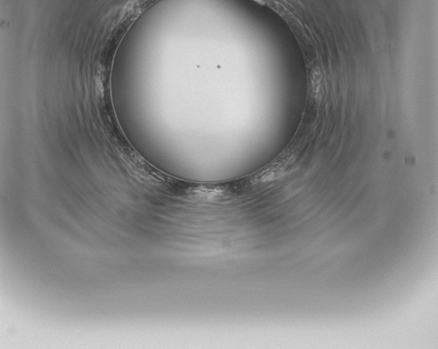 X0000060270570200511112050