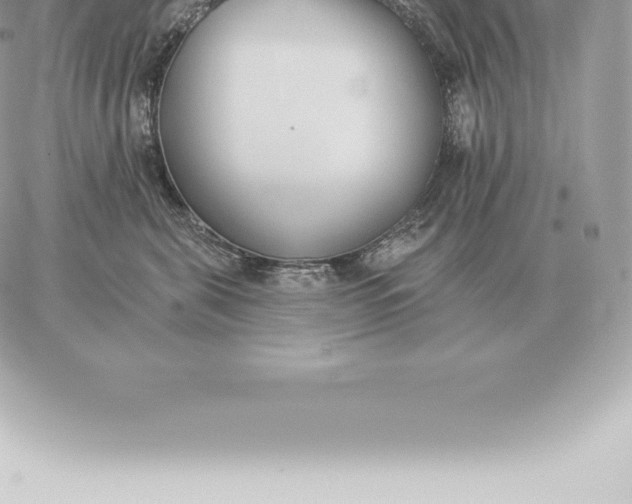 X0000060270571200511112050