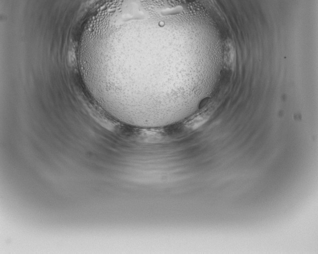 X0000060270573200511112050