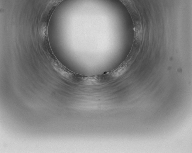 X0000060270574200511112050