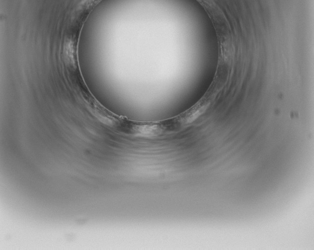 X0000060270575200511112050