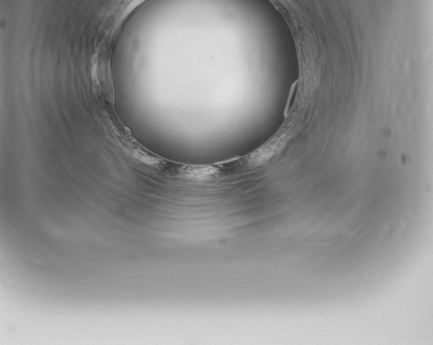 X0000060270576200511112050