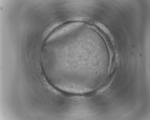 X0000060270577200511112049