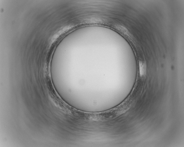 X0000060270579200511112049