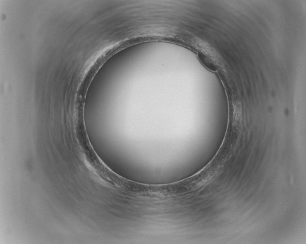 X0000060270580200511112049