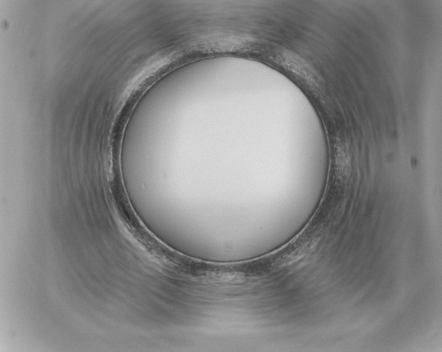 X0000060270582200511112049