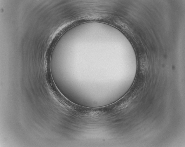 X0000060270584200511112049