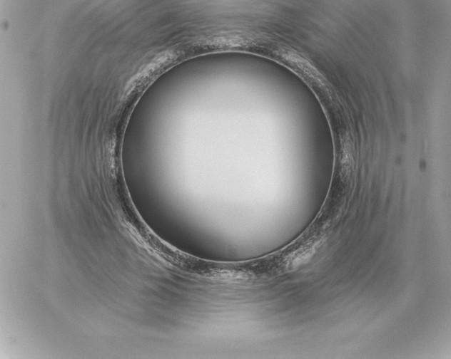 X0000060270585200511112049