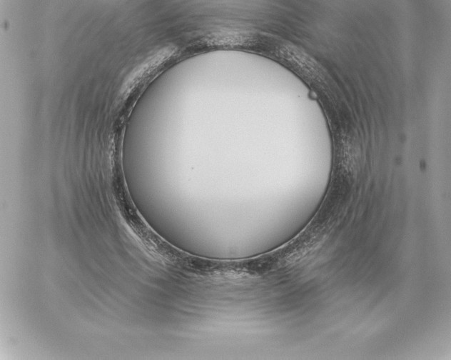 X0000060270586200511112049