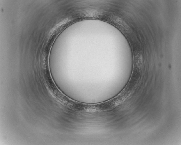 X0000060270587200511112049