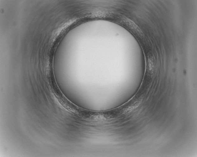 X0000060270588200511112049