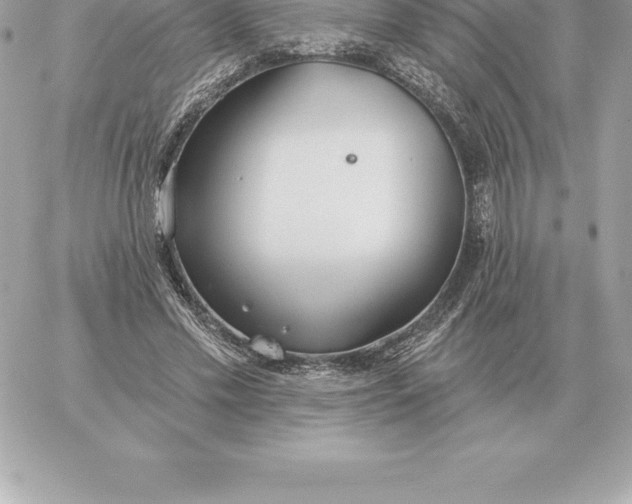 X0000060270589200511112049