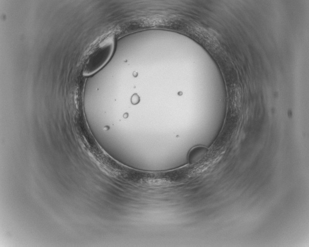 X0000060270590200511112049