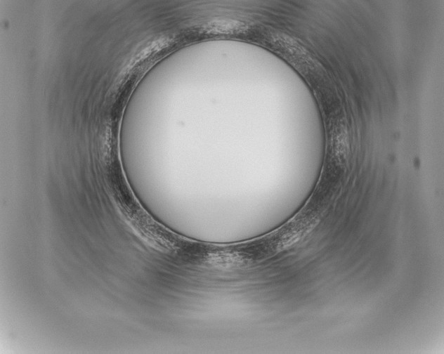 X0000060270591200511112049