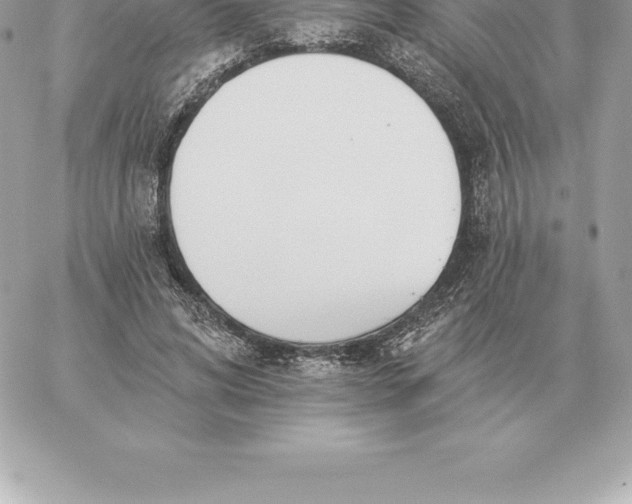 X0000060270592200511112049