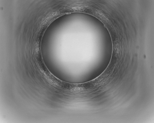 X0000060270593200511112049