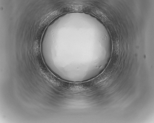 X0000060270594200511112049