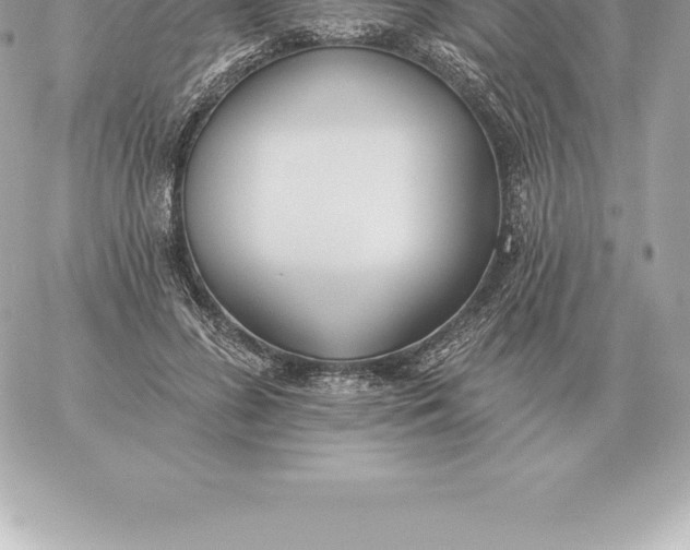 X0000060270596200511112049