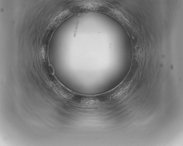 X0000060270597200511112049