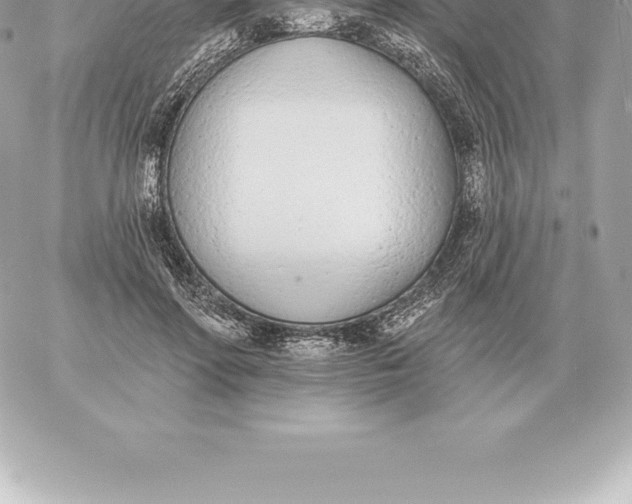 X0000060270598200511112049