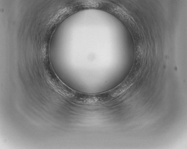 X0000060270600200511112049