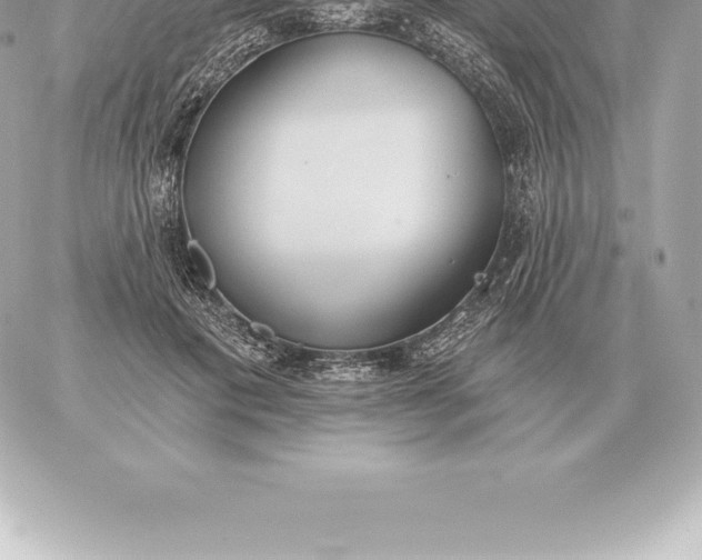 X0000060270601200511112049