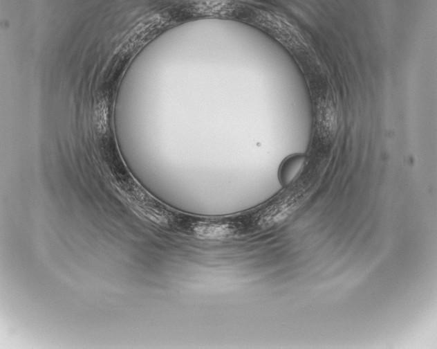 X0000060270602200511112049