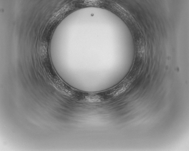 X0000060270603200511112049