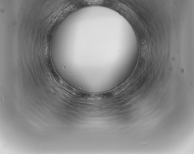 X0000060270604200511112049