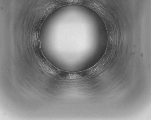 X0000060270605200511112049