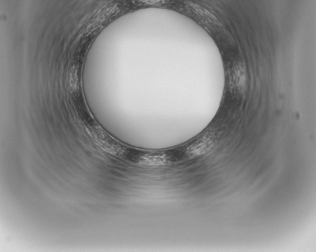 X0000060270606200511112049