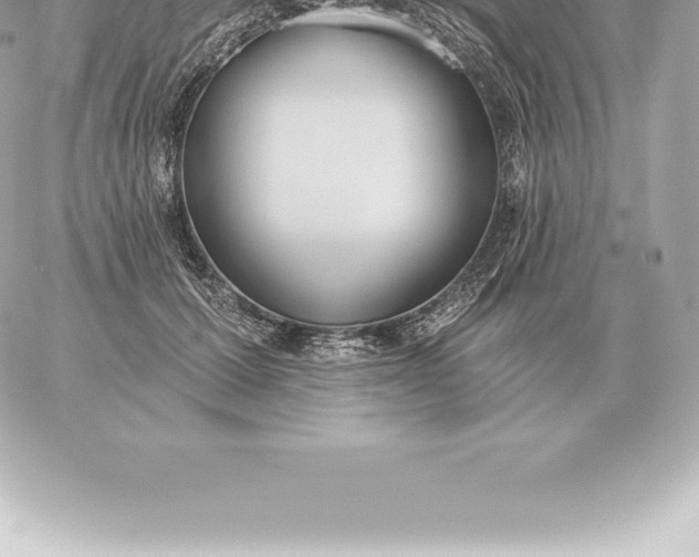 X0000060270607200511112049