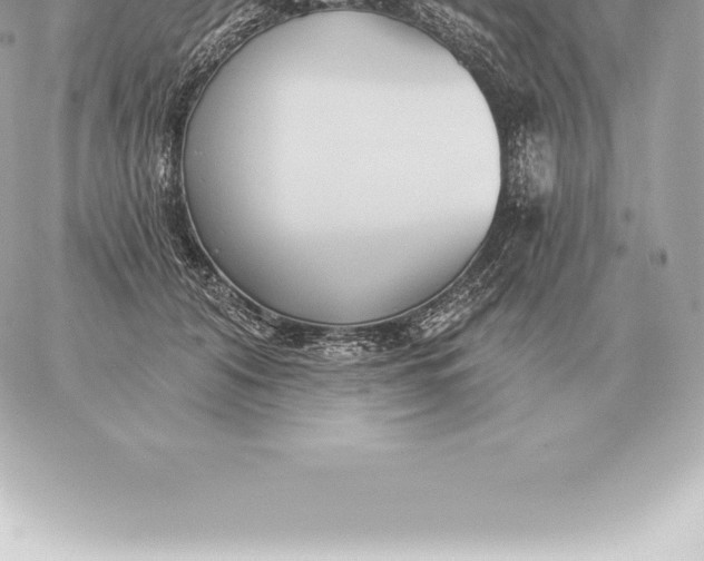 X0000060270608200511112049