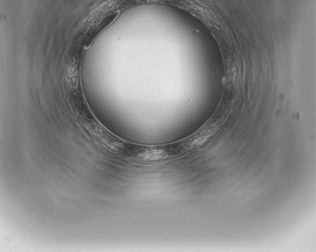 X0000060270609200511112049