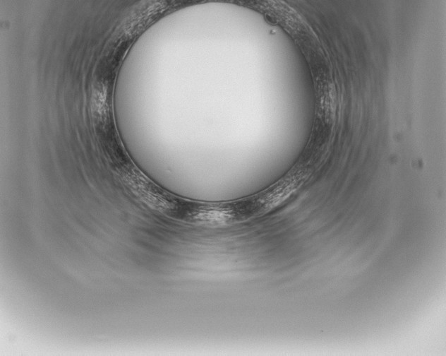 X0000060270610200511112049