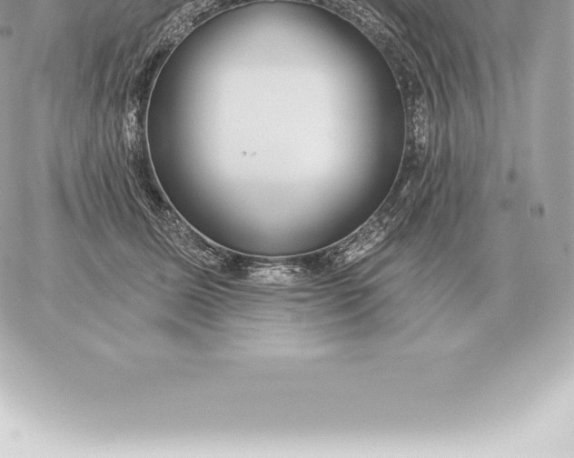 X0000060270611200511112049