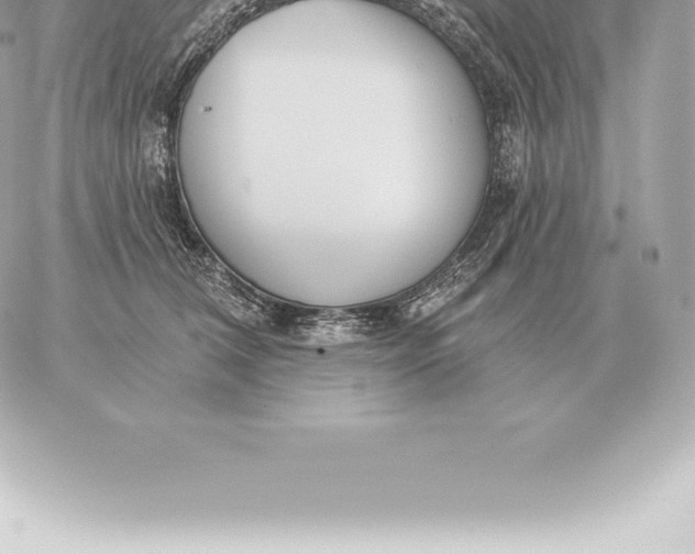 X0000060270612200511112049