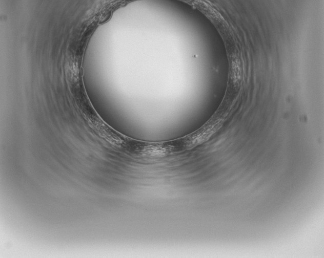 X0000060270613200511112049