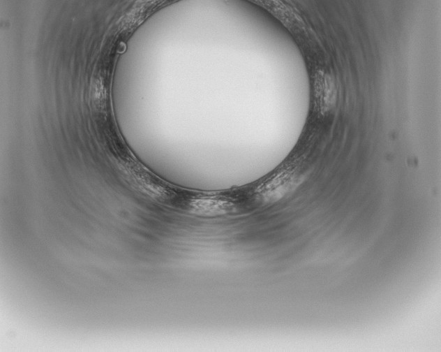 X0000060270614200511112049