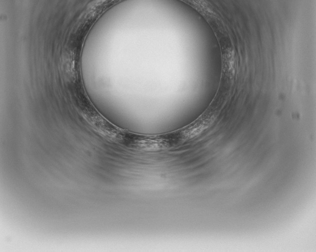 X0000060270615200511112049