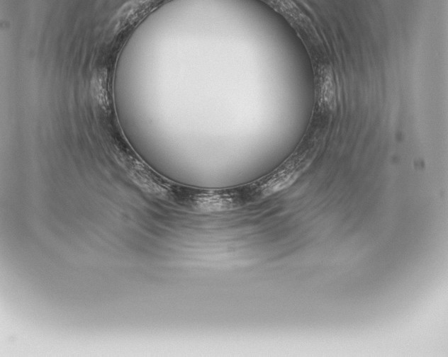 X0000060270616200511112049