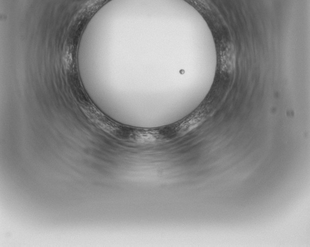 X0000060270618200511112048