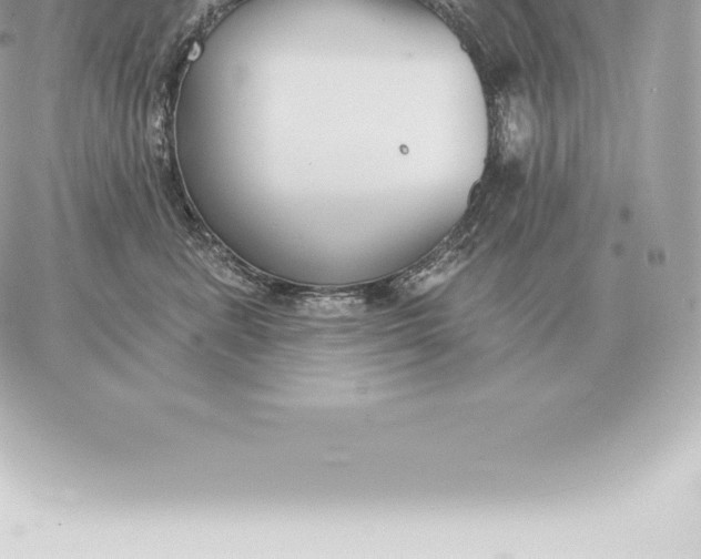 X0000060270619200511112048