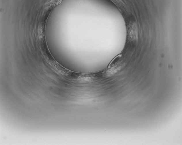 X0000060270620200511112048