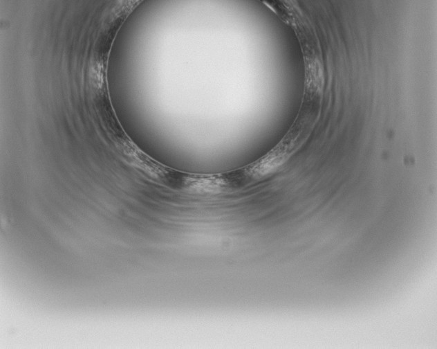 X0000060270621200511112048