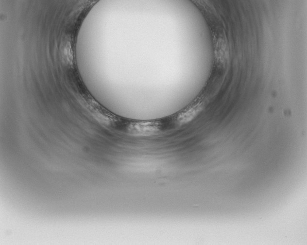 X0000060270622200511112048