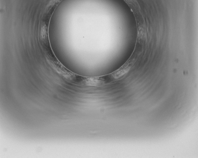 X0000060270623200511112048